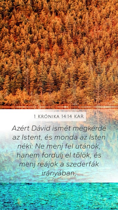 1 Krónika 14:14 KAR Bible Verse Image