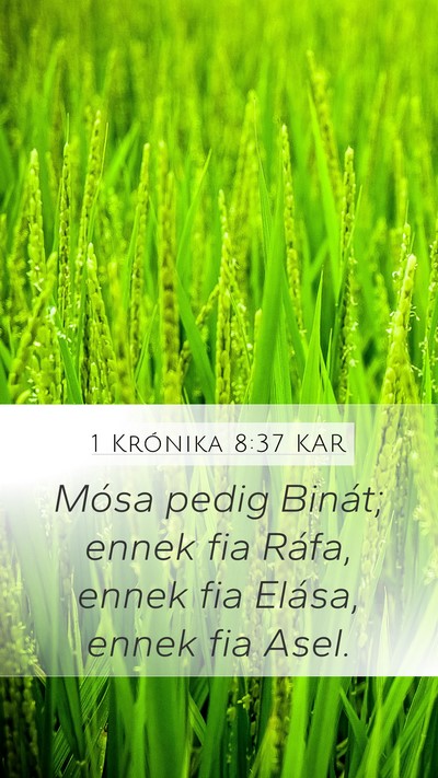 1 Krónika 8:37 KAR Mobile Phone Wallpaper - Mósa pedig Binát; ennek fia Ráfa, ennek fia - Mobile Bible Verse Wallpaper