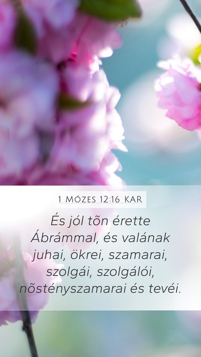 1 Mózes 12:16 KAR Bible Verse Image