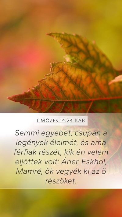 1 Mózes 14:24 KAR Bible Verse Image