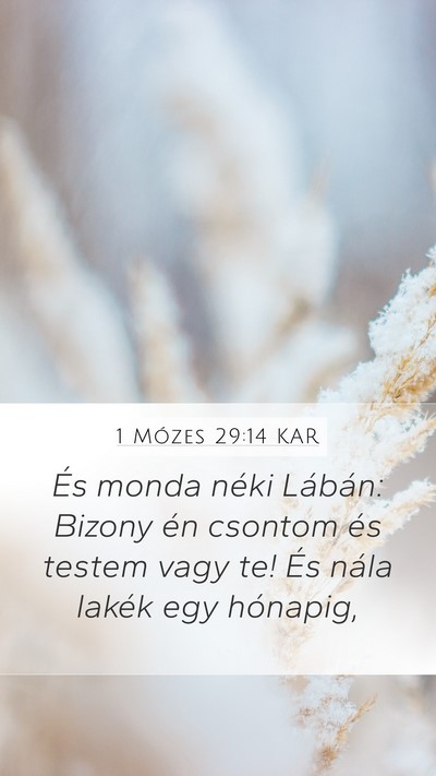 1 Mózes 29:14 KAR Bible Verse Image
