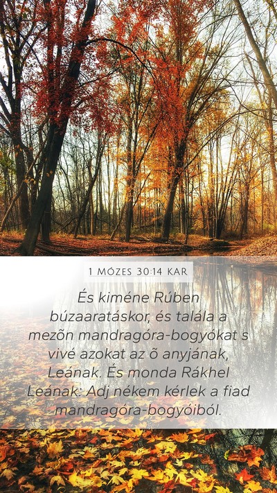 1 Mózes 30:14 KAR Bible Verse Image
