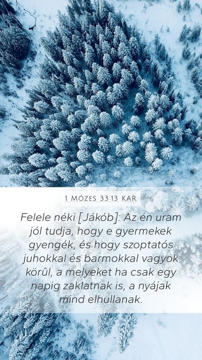 1 Mózes 33:13 KAR Mobile Phone Wallpaper - Felele néki [Jákób]: Az én uram jól tudja, - Mobile Bible Verse Wallpaper