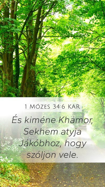 1 Mózes 34:6 KAR Mobile Phone Wallpaper - És kiméne Khámor, Sekhem atyja Jákóbhoz, - Mobile Bible Verse Wallpaper