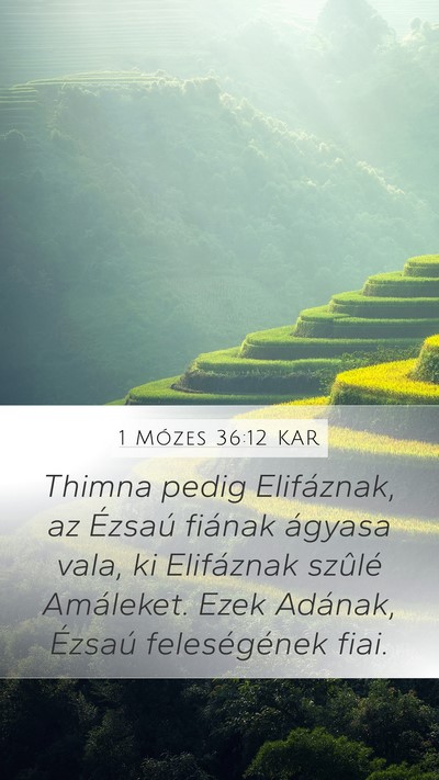 1 Mózes 36:12 KAR Mobile Phone Wallpaper - Thimna pedig Elifáznak, az Ézsaú fiának - Mobile Bible Verse Wallpaper