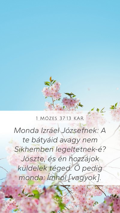 1 Mózes 37:13 KAR Mobile Phone Wallpaper - Monda Izráel Józsefnek: A te bátyáid avagy - Mobile Bible Verse Wallpaper