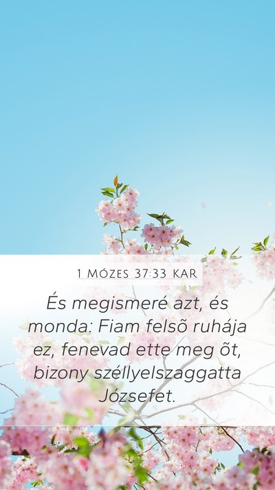 1 Mózes 37:33 KAR Bible Verse Image