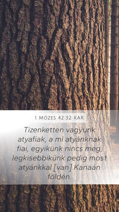 1 Mózes 42:32 KAR Bible Verse Image