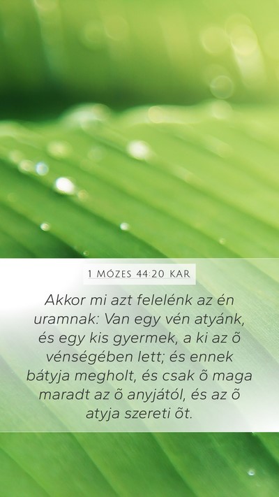 1 Mózes 44:20 KAR Bible Verse Image