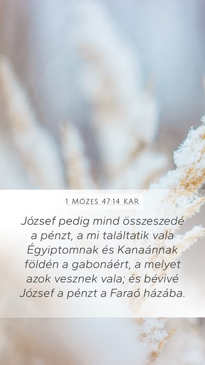 1 Mózes 47:14 KAR Mobile Phone Wallpaper - József pedig mind összeszedé a pénzt, a mi - Mobile Bible Verse Wallpaper