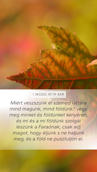 1 Mózes 47:19 KAR Mobile Phone Wallpaper - Miért veszszünk el szemed láttára mind - Mobile Bible Verse Wallpaper