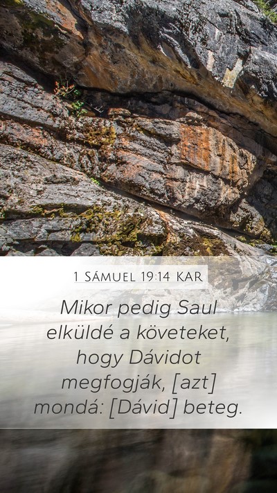1 Sámuel 19:14 KAR Bible Verse Image