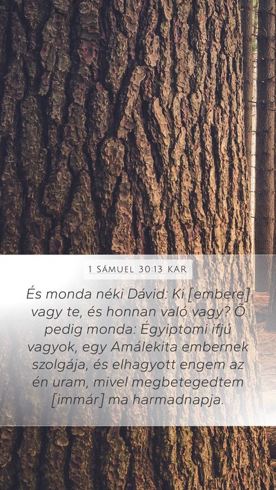 1 Sámuel 30:13 KAR Bible Verse Image