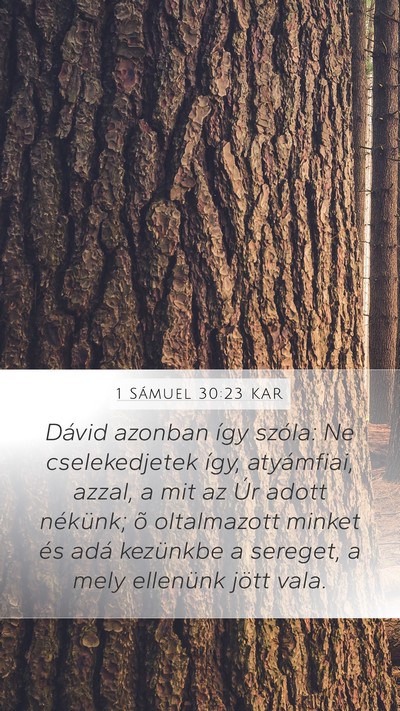 1 Sámuel 30:23 KAR Bible Verse Image
