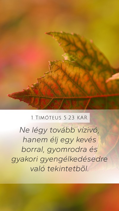 1 Timóteus 5:23 KAR Bible Verse Image