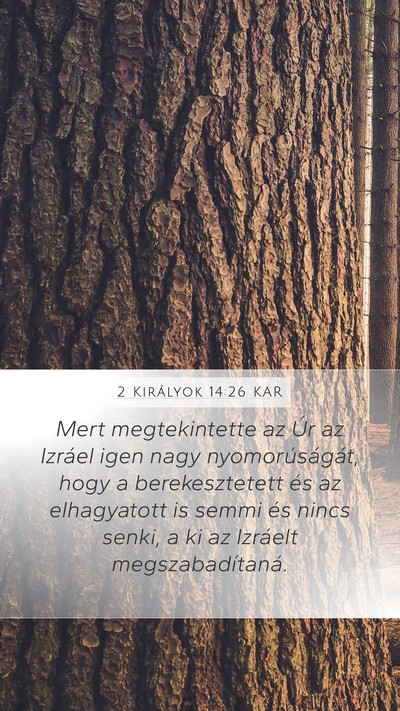 2 Királyok 14:26 KAR Bible Verse Image
