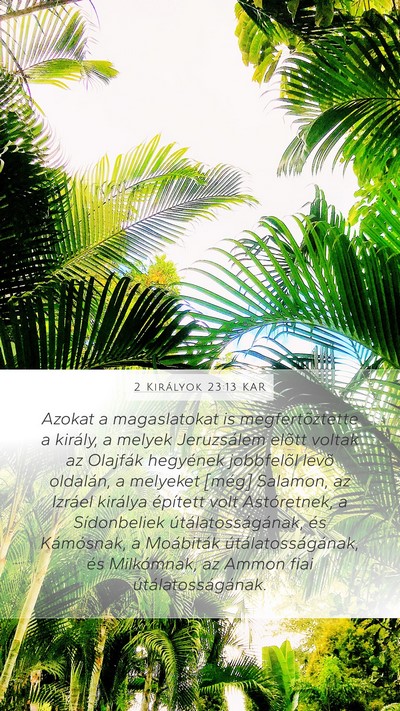 2 Királyok 23:13 KAR Bible Verse Image
