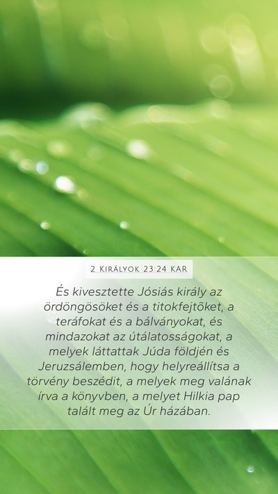 2 Királyok 23:24 KAR Bible Verse Image