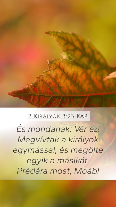 2 Királyok 3:23 KAR Mobile Phone Wallpaper - És mondának: Vér ez! Megvívtak a királyok - Mobile Bible Verse Wallpaper