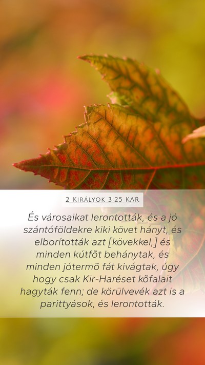 2 Királyok 3:25 KAR Bible Verse Image