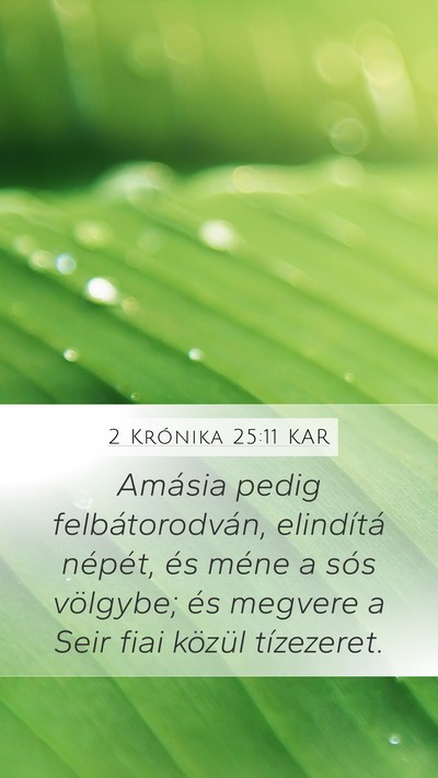 2 Krónika 25:11 KAR Bible Verse Image