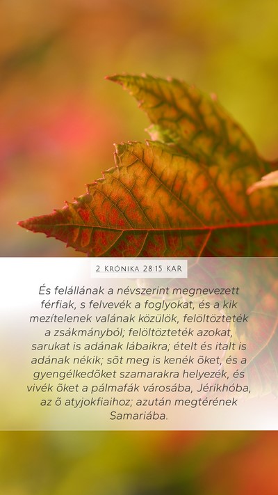 2 Krónika 28:15 KAR Bible Verse Image