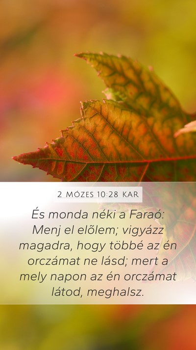 2 Mózes 10:28 KAR Bible Verse Image