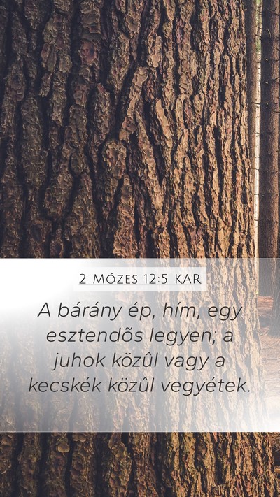 2 Mózes 12:5 KAR Bible Verse Image