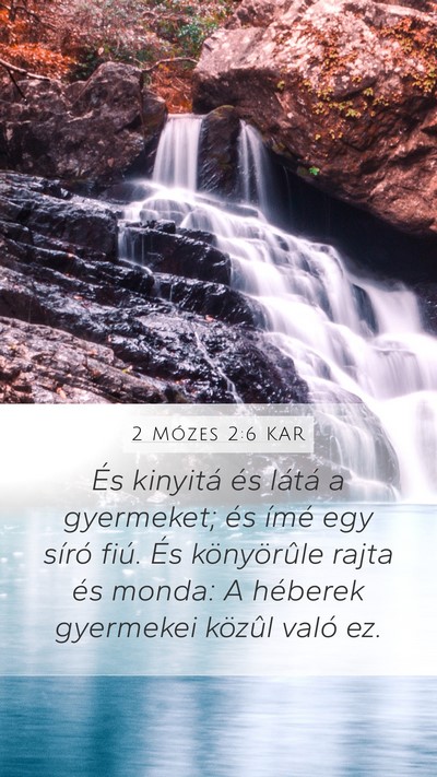 2 Mózes 2:6 KAR Bible Verse Image