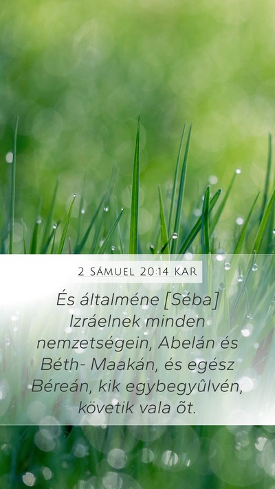2 Sámuel 20:14 KAR Bible Verse Image