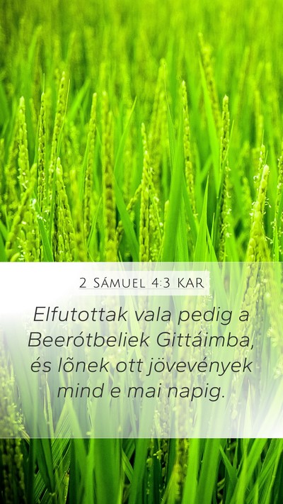 2 Sámuel 4:3 KAR Bible Verse Image