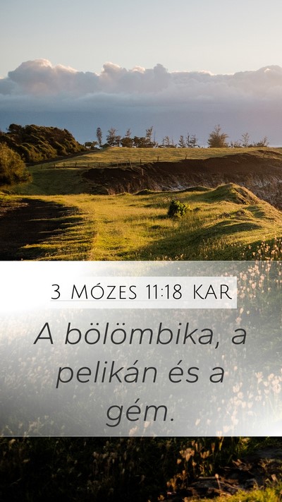 3 Mózes 11:18 KAR Mobile Phone Wallpaper - A bölömbika, a pelikán és a - Mobile Bible Verse Wallpaper