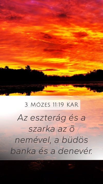 3 Mózes 11:19 KAR Bible Verse Image