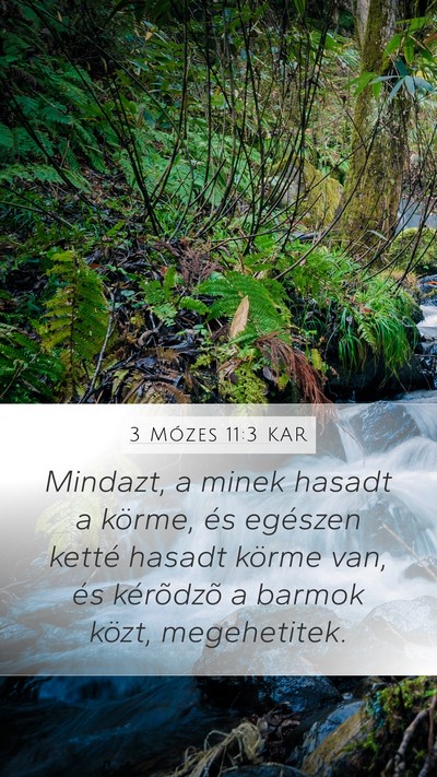3 Mózes 11:3 KAR Mobile Phone Wallpaper - Mindazt, a minek hasadt a körme, és egészen - Mobile Bible Verse Wallpaper