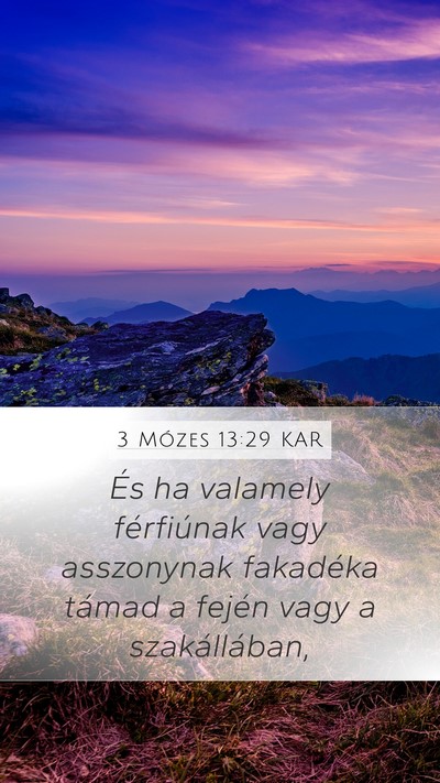 3 Mózes 13:29 KAR Bible Verse Image