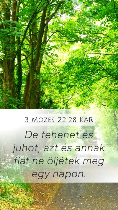 3 Mózes 22:28 KAR Bible Verse Image