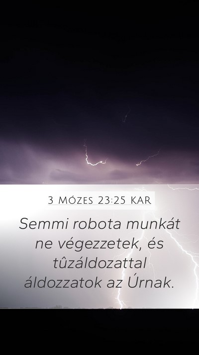 3 Mózes 23:25 KAR Bible Verse Image