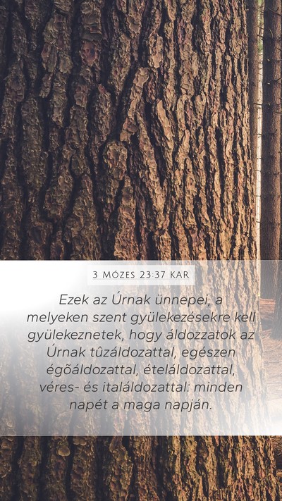 3 Mózes 23:37 KAR Bible Verse Image