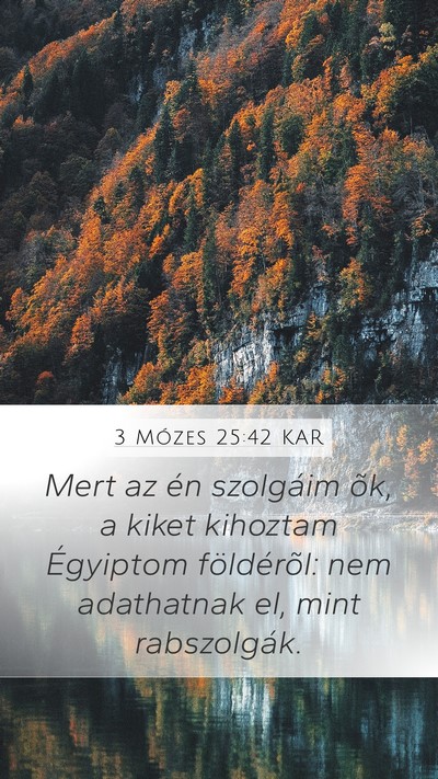 3 Mózes 25:42 KAR Bible Verse Image
