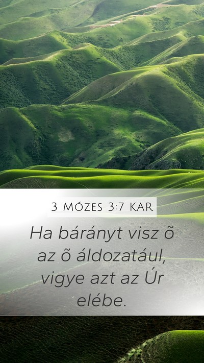 3 Mózes 3:7 KAR Mobile Phone Wallpaper - Ha bárányt visz õ az õ áldozatául, vigye - Mobile Bible Verse Wallpaper