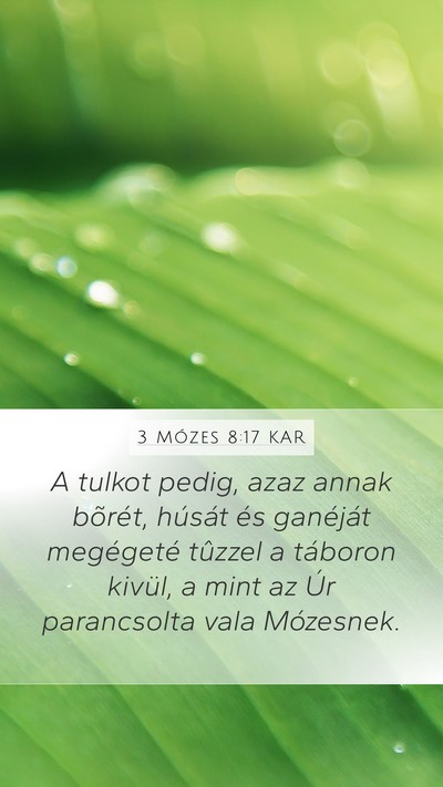 3 Mózes 8:17 KAR Bible Verse Image