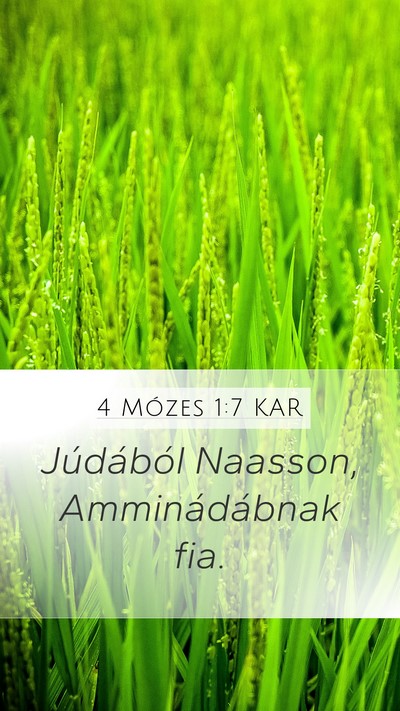 4 Mózes 1:7 KAR Bible Verse Image