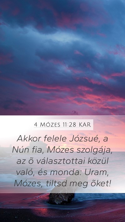 4 Mózes 11:28 KAR Mobile Phone Wallpaper - Akkor felele Józsué, a Nún fia, Mózes - Mobile Bible Verse Wallpaper