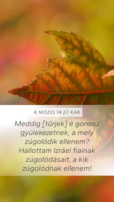 4 Mózes 14:27 KAR Mobile Phone Wallpaper - Meddig [tûrjek] e gonosz gyülekezetnek, a mely - Mobile Bible Verse Wallpaper
