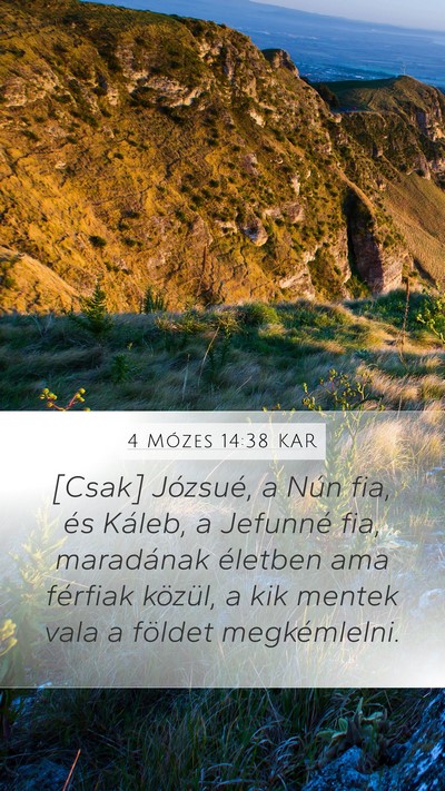 4 Mózes 14:38 KAR Bible Verse Image