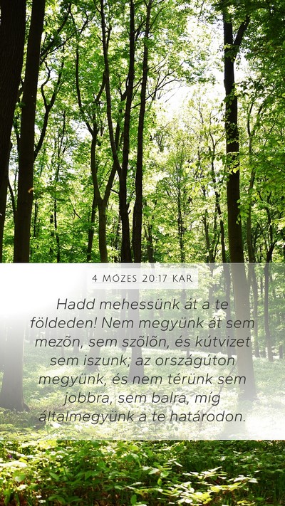 4 Mózes 20:17 KAR Bible Verse Image