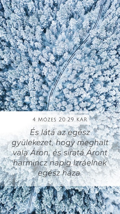 4 Mózes 20:29 KAR Mobile Phone Wallpaper - És látá az egész gyülekezet, hogy meghalt - Mobile Bible Verse Wallpaper