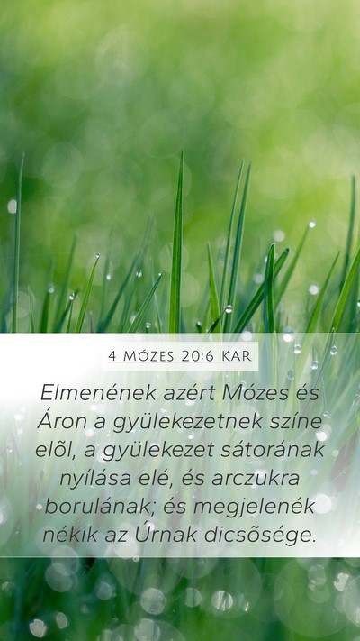 4 Mózes 20:6 KAR Bible Verse Image
