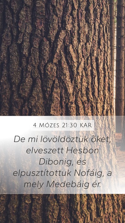 4 Mózes 21:30 KAR Bible Verse Image