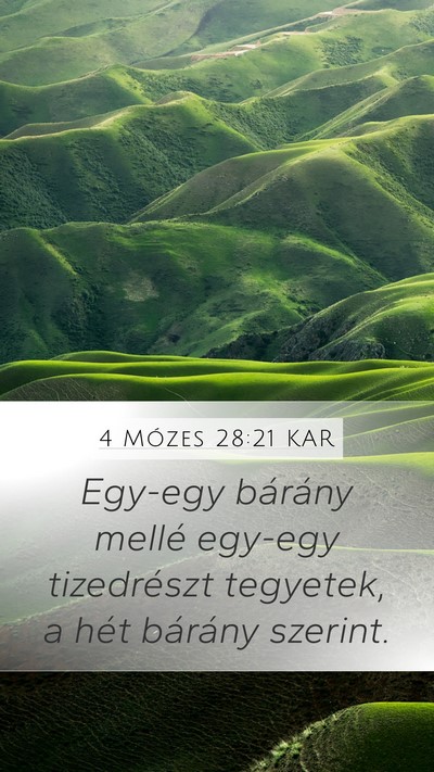 4 Mózes 28:21 KAR Mobile Phone Wallpaper - Egy-egy bárány mellé egy-egy tizedrészt - Mobile Bible Verse Wallpaper
